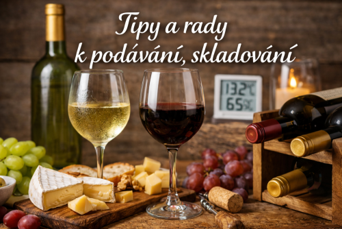 Tipy a rady k podávání, skladování