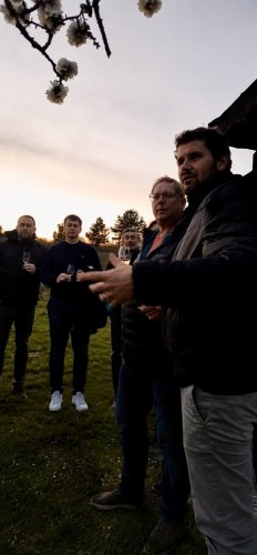 Teambuilding ve vinařství