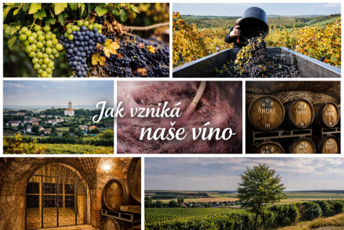 Jak vzniká naše víno