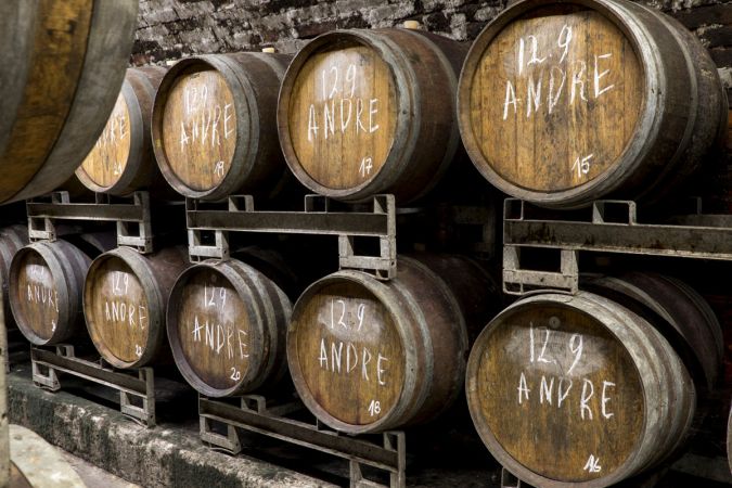Wine cellar with seating