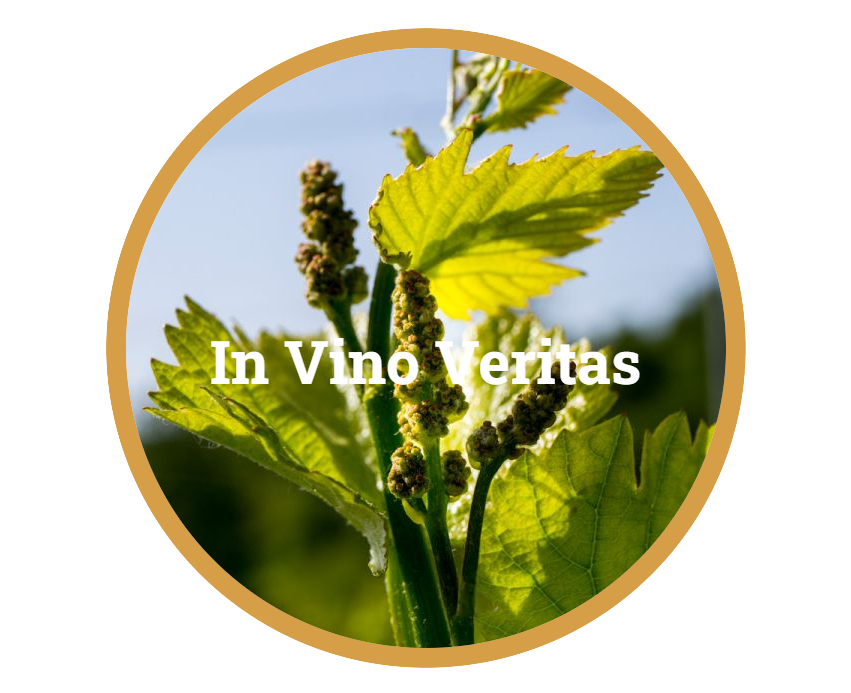 In Vino Veritas